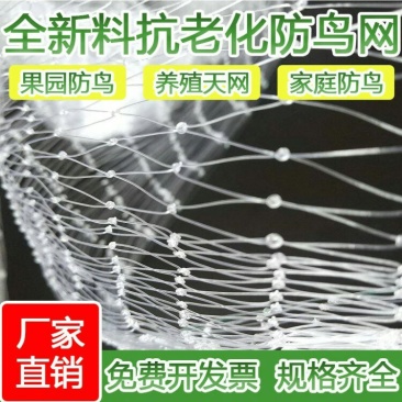 防鸟网果园果树尼龙网葡萄网樱桃网稻谷鱼塘防护网天网阳台防