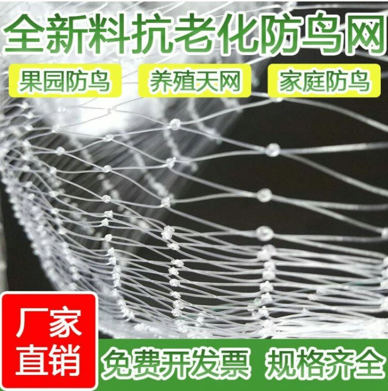 防鸟网果园果树尼龙网葡萄网樱桃网稻谷鱼塘防护网天网阳台防