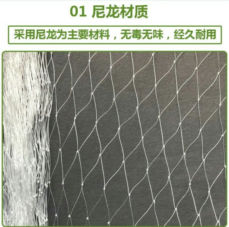 防鸟网果园果树尼龙网葡萄网樱桃网稻谷鱼塘防护网天网阳台防