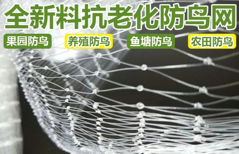 防鸟网果园果树尼龙网葡萄网樱桃网稻谷鱼塘防护网天网阳台防