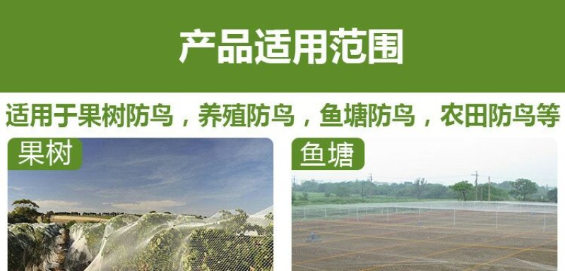 防鸟网果园果树尼龙网葡萄网樱桃网稻谷鱼塘防护网天网阳台防
