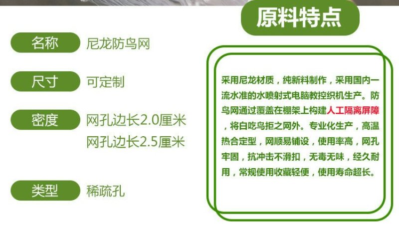 防鸟网果园果树尼龙网葡萄网樱桃网稻谷鱼塘防护网天网阳台防