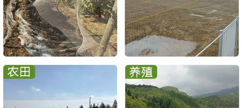 防鸟网果园果树尼龙网葡萄网樱桃网稻谷鱼塘防护网天网阳台防