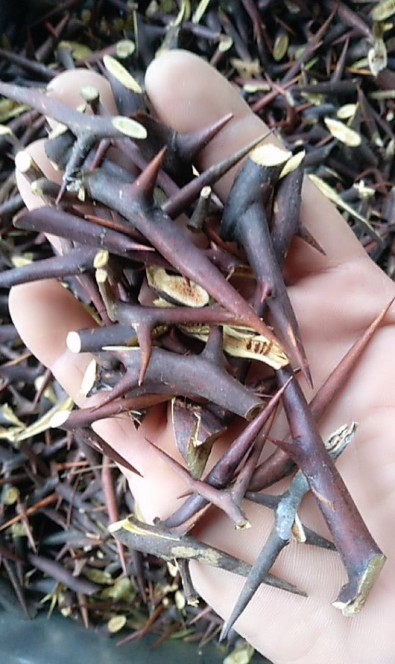 野生天丁手工片