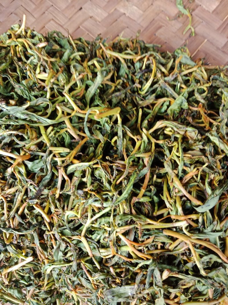 野生型古树茶