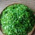 野生型古树茶