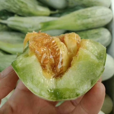 博洋61绿宝东方蜜