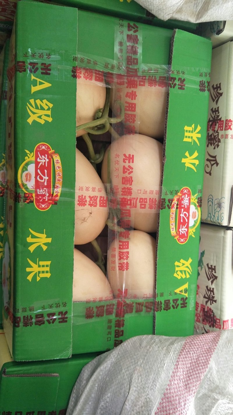 博洋61绿宝东方蜜