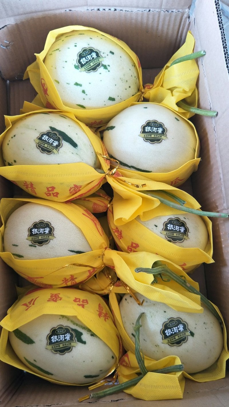 博洋61绿宝东方蜜