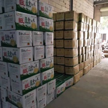 各类黄花菜一级批发