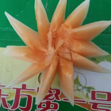 东方蜜1号，红心脆梨。西州蜜。快上市了，欢迎新老客户咨询