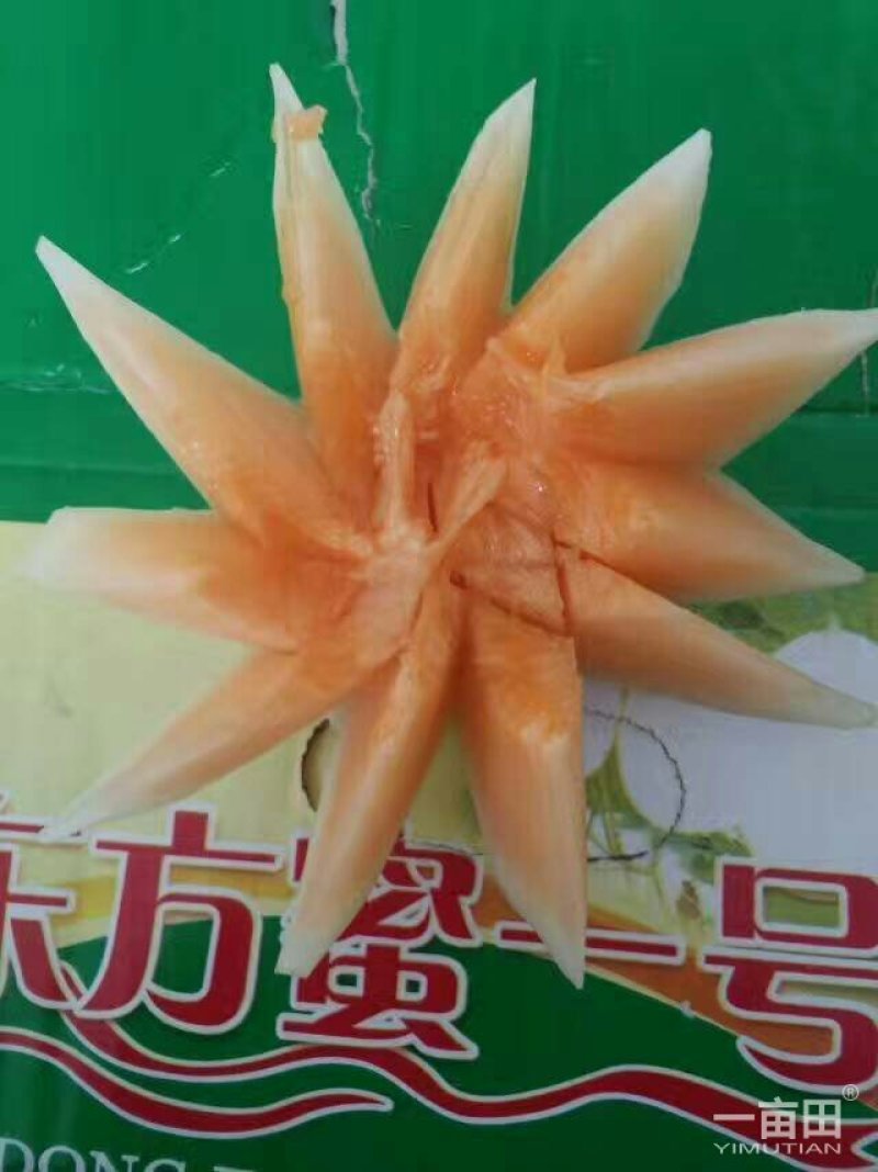 东方蜜1号，红心脆梨。西州蜜。快上市了，欢迎新老客户咨询