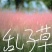 粉黛乱子草！农户价（数量足，价格优.质量好）欢迎各位老板