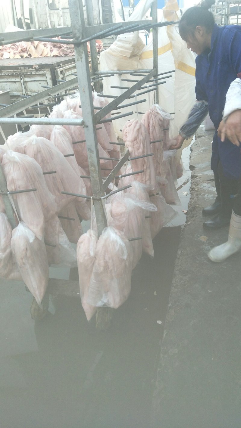 猪板油吨起发货一挂10斤一袋40斤。