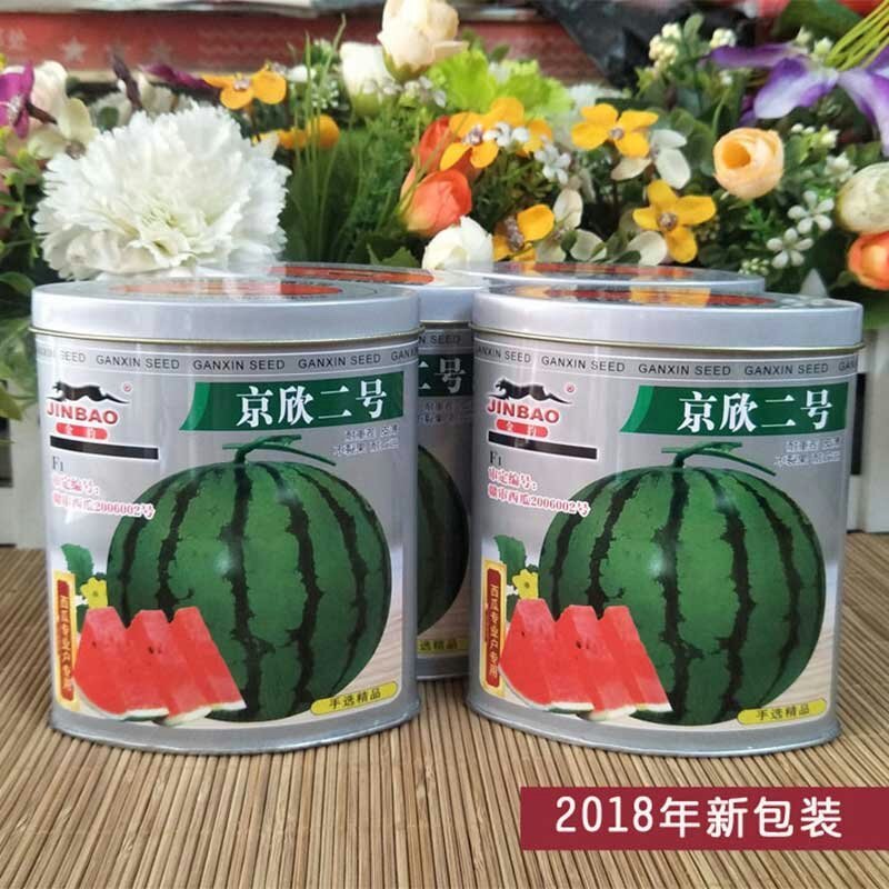 早熟京欣二号西瓜种子
