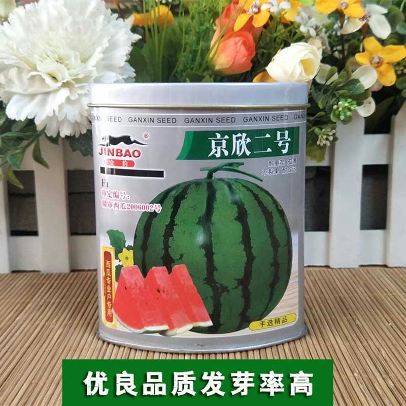 早熟京欣二号西瓜种子