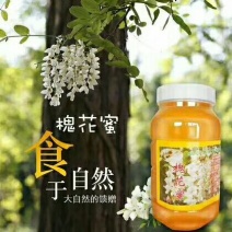 槐花蜂蜜新鲜蜂蜜蜂农自产口味纯正。批发零售支持一件化发