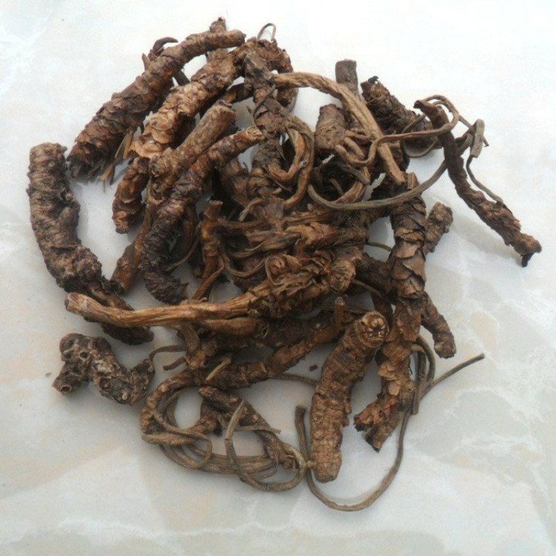 胡黄莲胡黄连批发零售冷背中药材