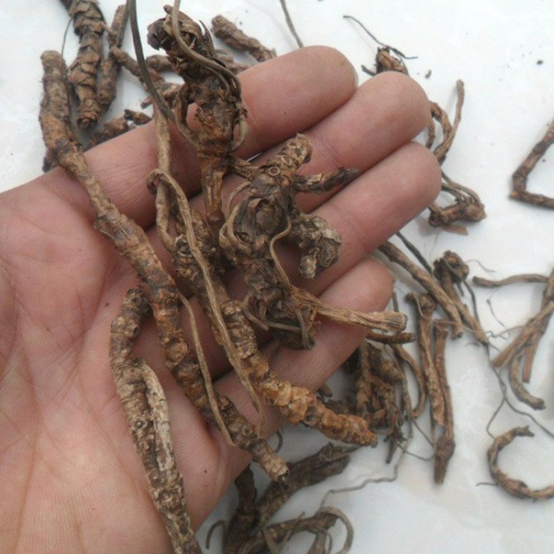 胡黄莲胡黄连批发零售冷背中药材