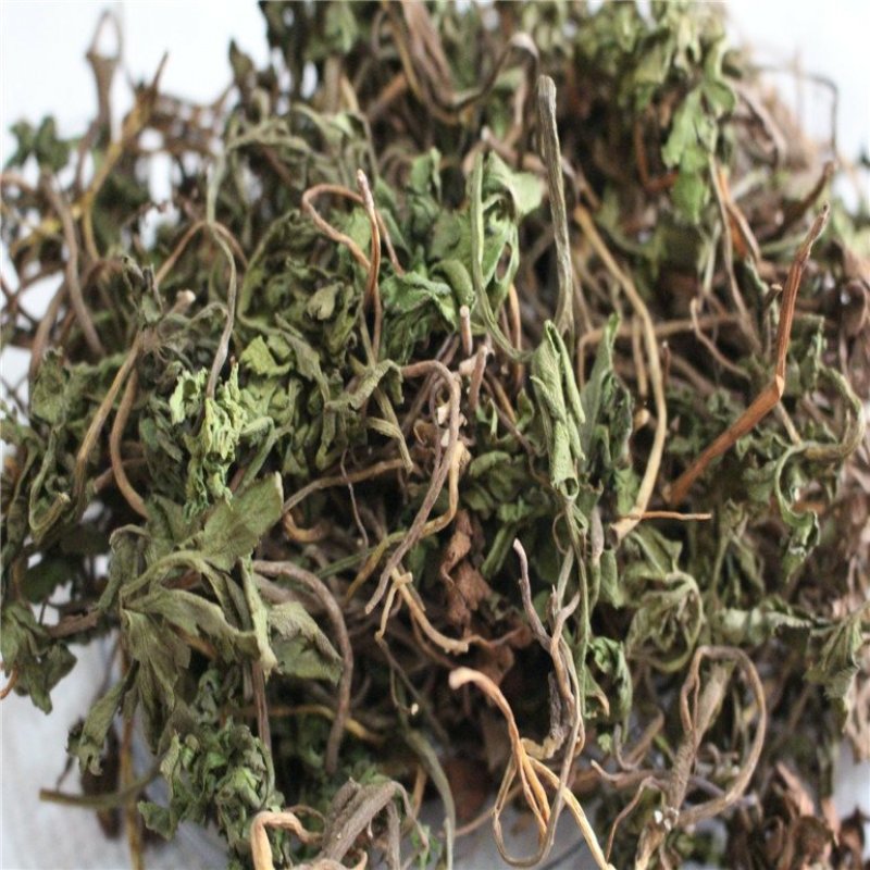 阴地蕨一朵云小春花批发零售冷背中药材包邮