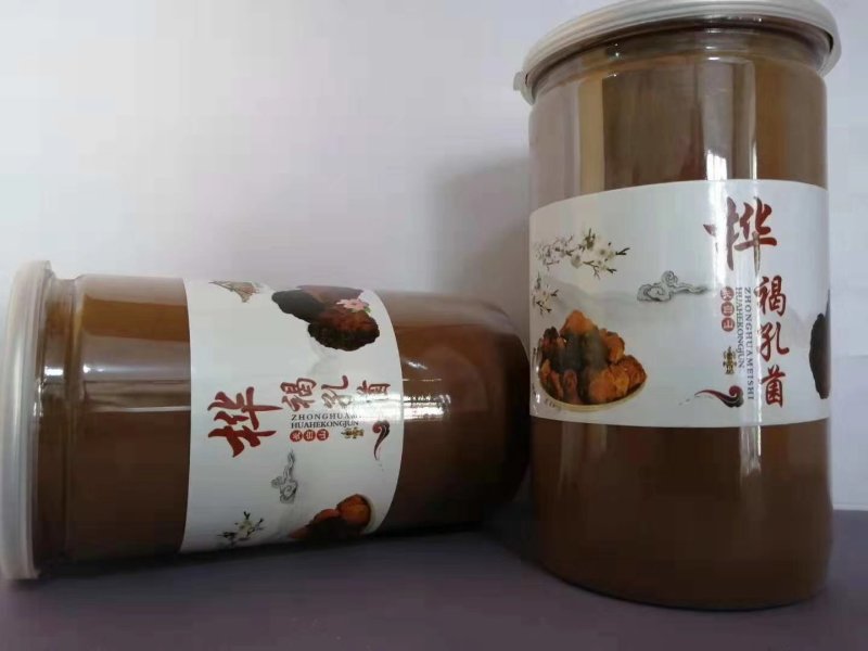 白桦茸