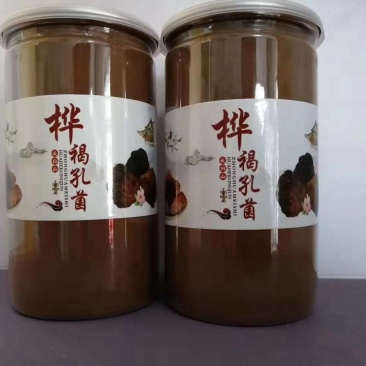 白桦茸