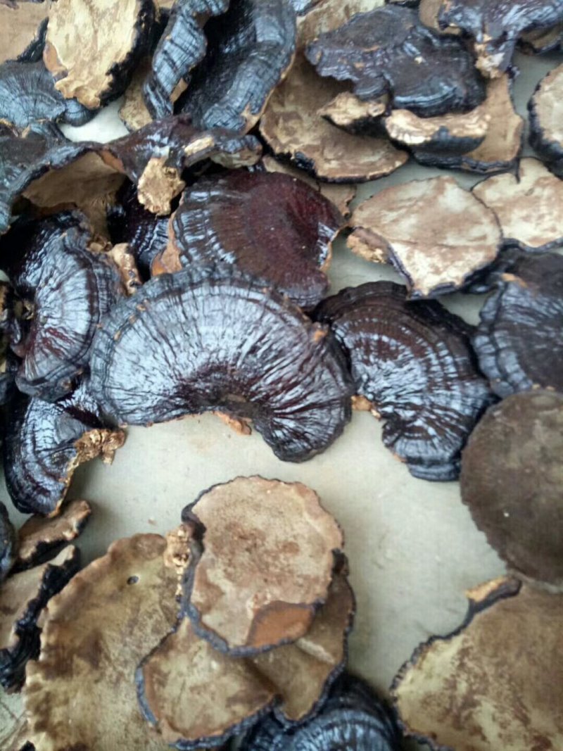 【优质药材】黑灵芝，长脚搞仿黑灵芝欢迎选购