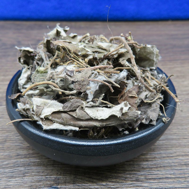 兔耳风兔儿草批发零售冷背中药材