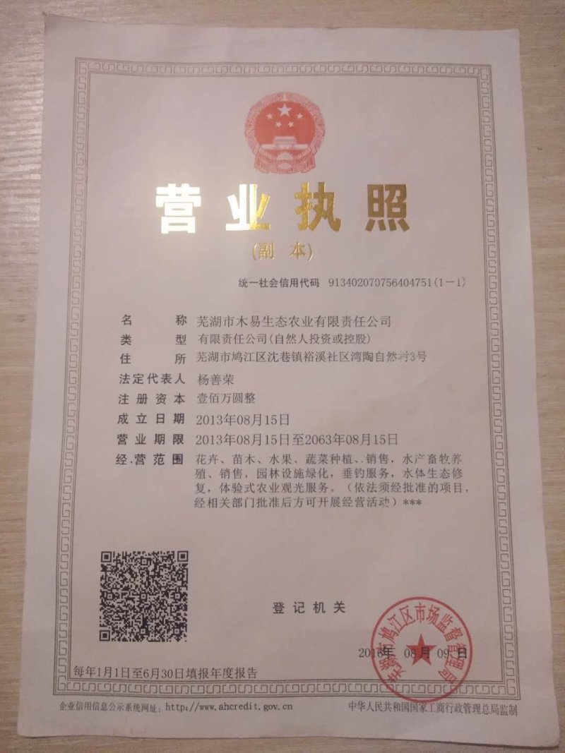 豇豆，大棚长豆角上市，产地直发，质量好，条直，毛豆，