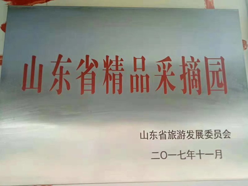 优质台湾大红，自粉，产量高，口感好，不裂果，当年可以结果