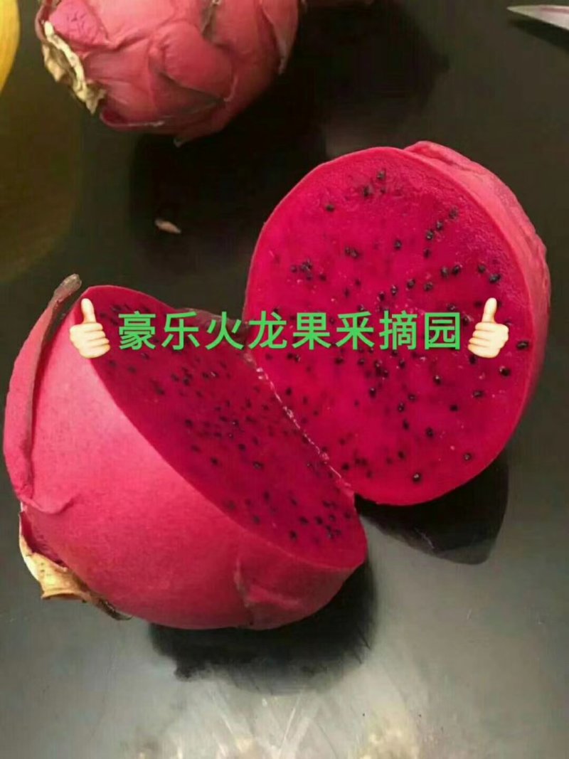 优质台湾大红，自粉，产量高，口感好，不裂果，当年可以结果