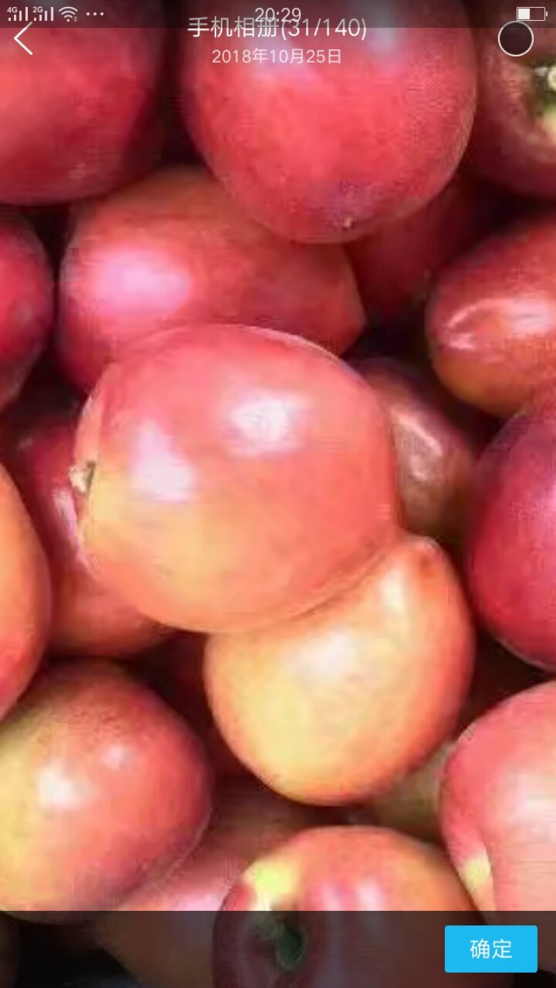 中油系列油桃