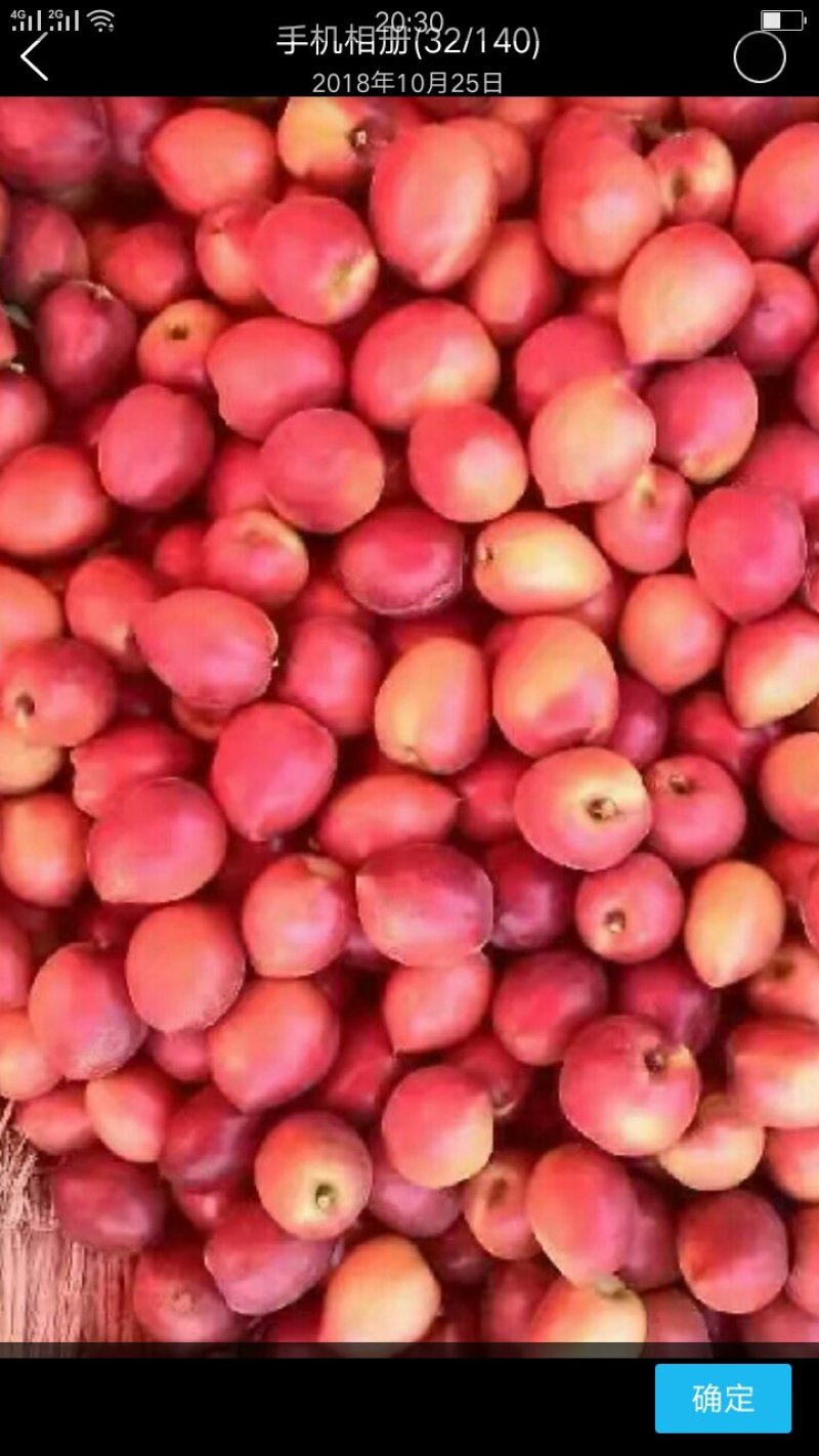 中油系列油桃