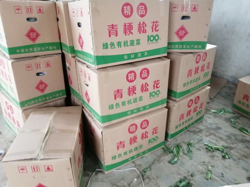 产地精选散花实花上市，产地直供，品质保证，发货全国各地