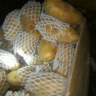 土豆荷兰十五土豆批发基地，一手货源