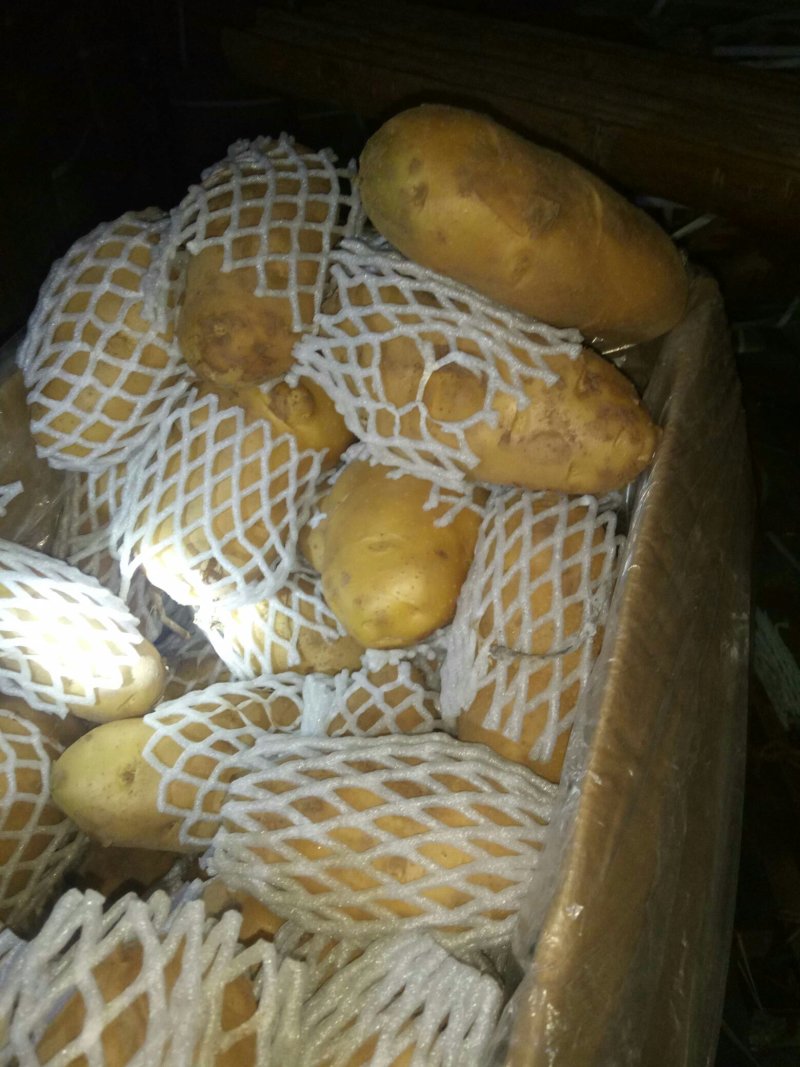 土豆荷兰十五土豆批发基地，一手货源