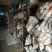 土豆荷兰十五土豆批发基地，一手货源