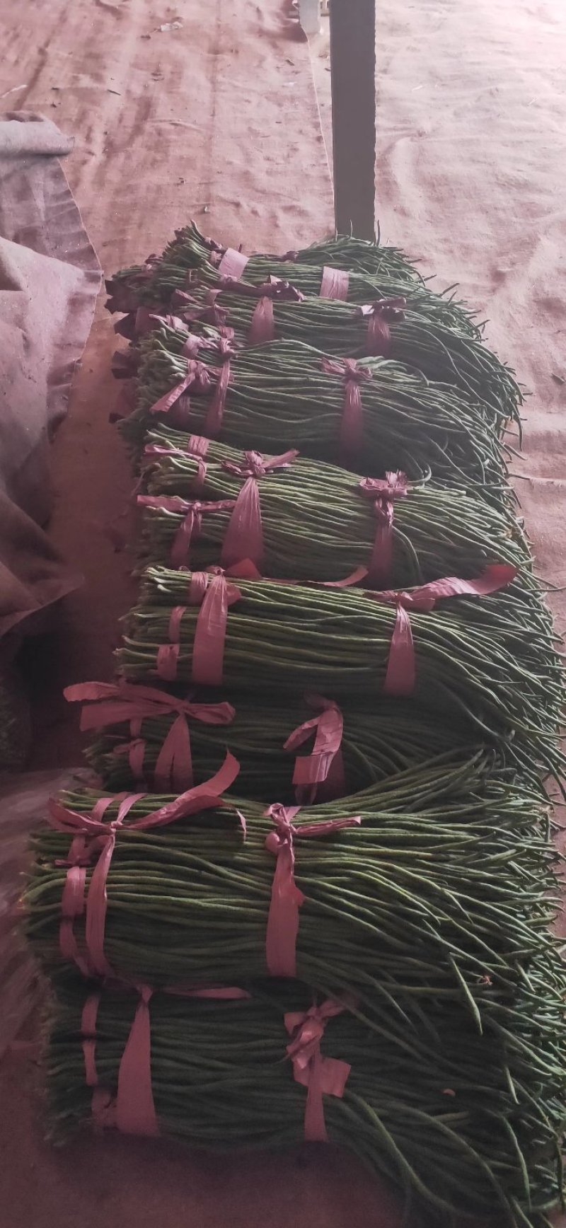 长豆角，长豇豆，产地大量上市，一手货源，