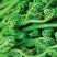 美味野菜