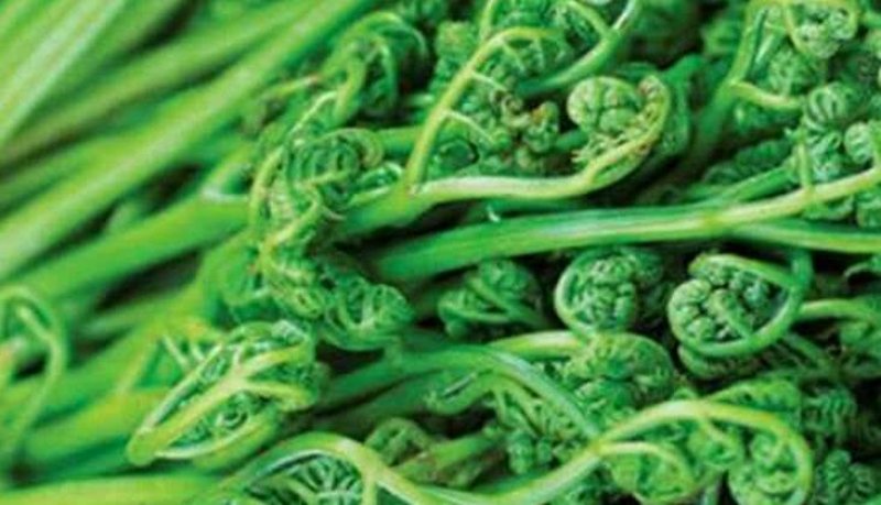 美味野菜