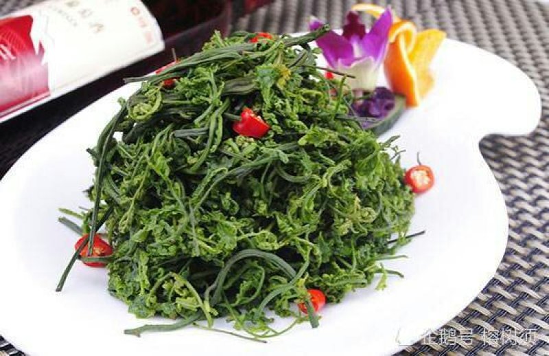 美味野菜