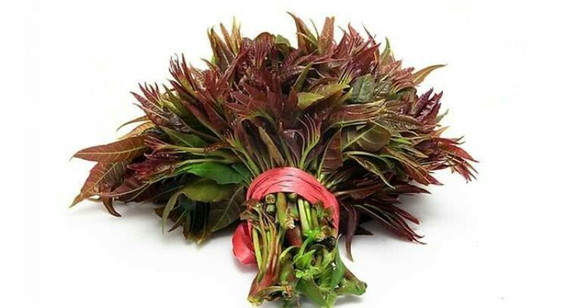 美味野菜