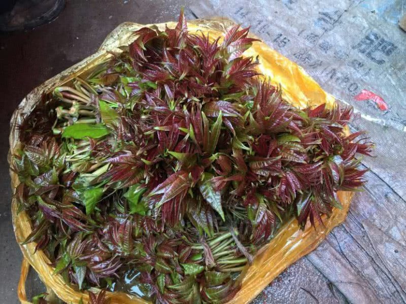 美味野菜