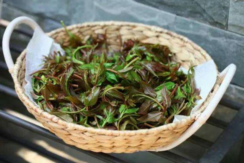 美味野菜