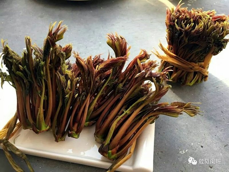 美味野菜