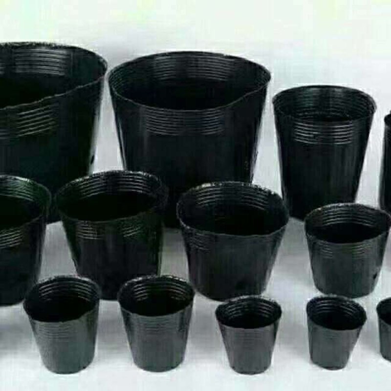 育苗袋