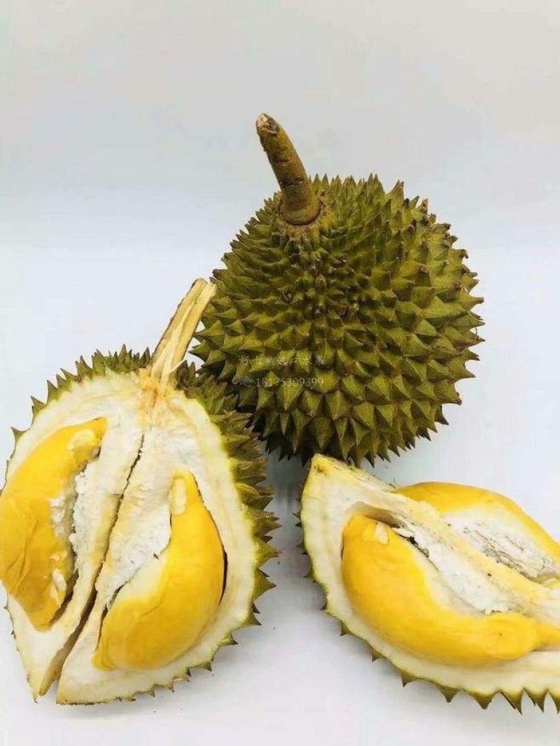 巴掌榴莲泰国直采发全国各地金枕拖曼尼正宗泰国货