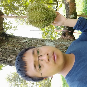 巴掌榴莲泰国直采发全国各地金枕拖曼尼正宗泰国货