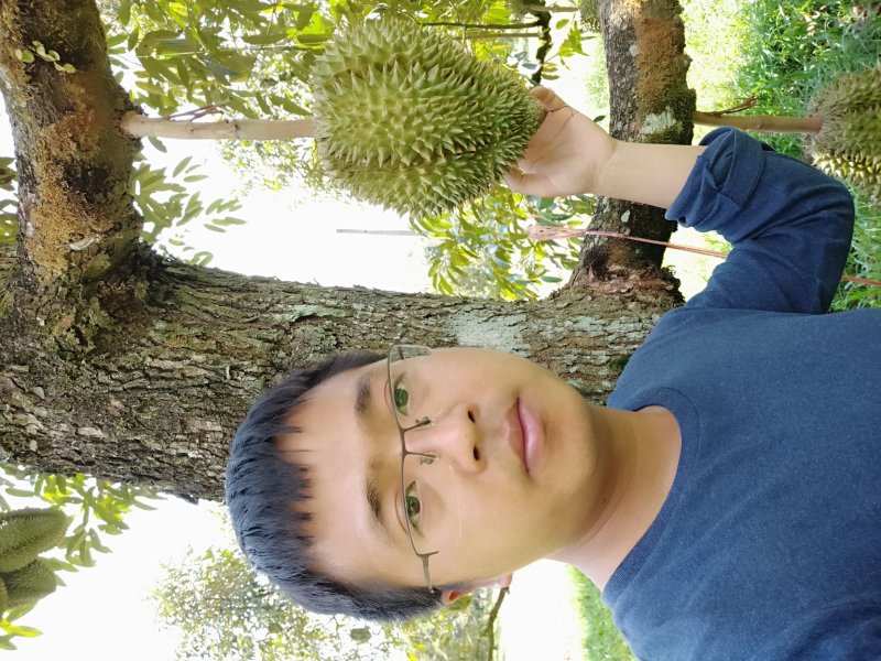 巴掌榴莲泰国直采发全国各地金枕拖曼尼正宗泰国货