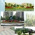 五色草造型